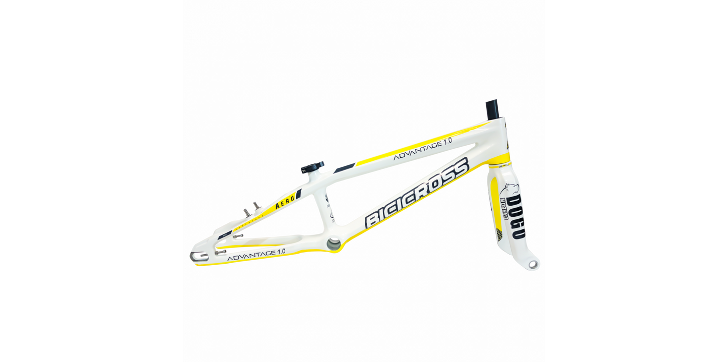 BICICROSS ADVANTAGE 2.0 DISC CARBON - PRO FRAME