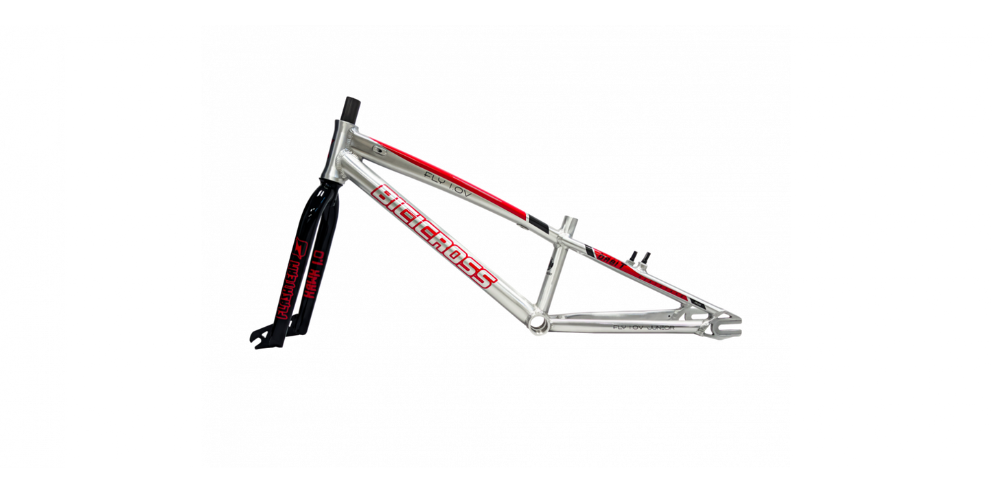 BICICROSS FLY 1.0 FRAME SET - CRUISER