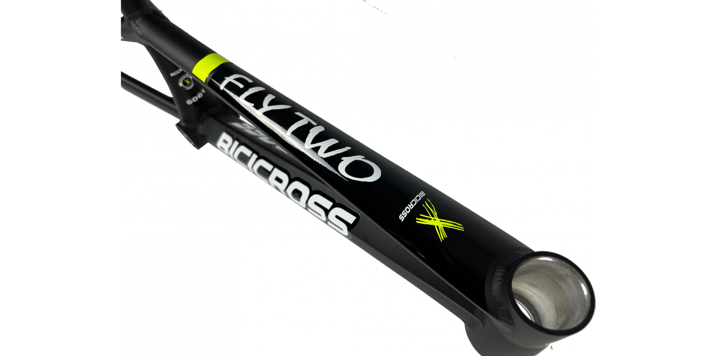 BICICROSS FLY TWO - PRO